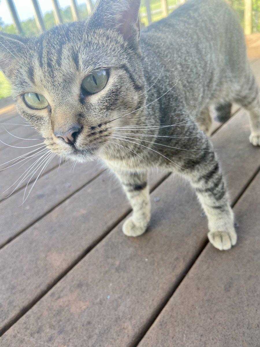 Happy Monday furrbuddies … hope that you have a fabulous day ❤️🐾🐾❤️