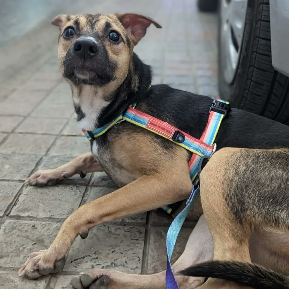 WorldForAll tweet media