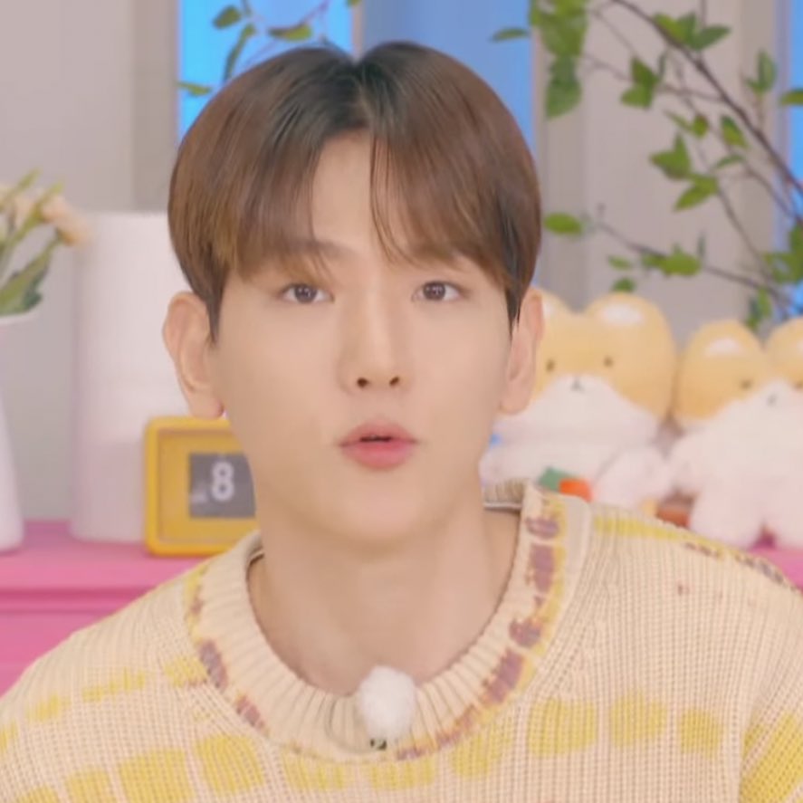 엑소 군필돌 얼굴