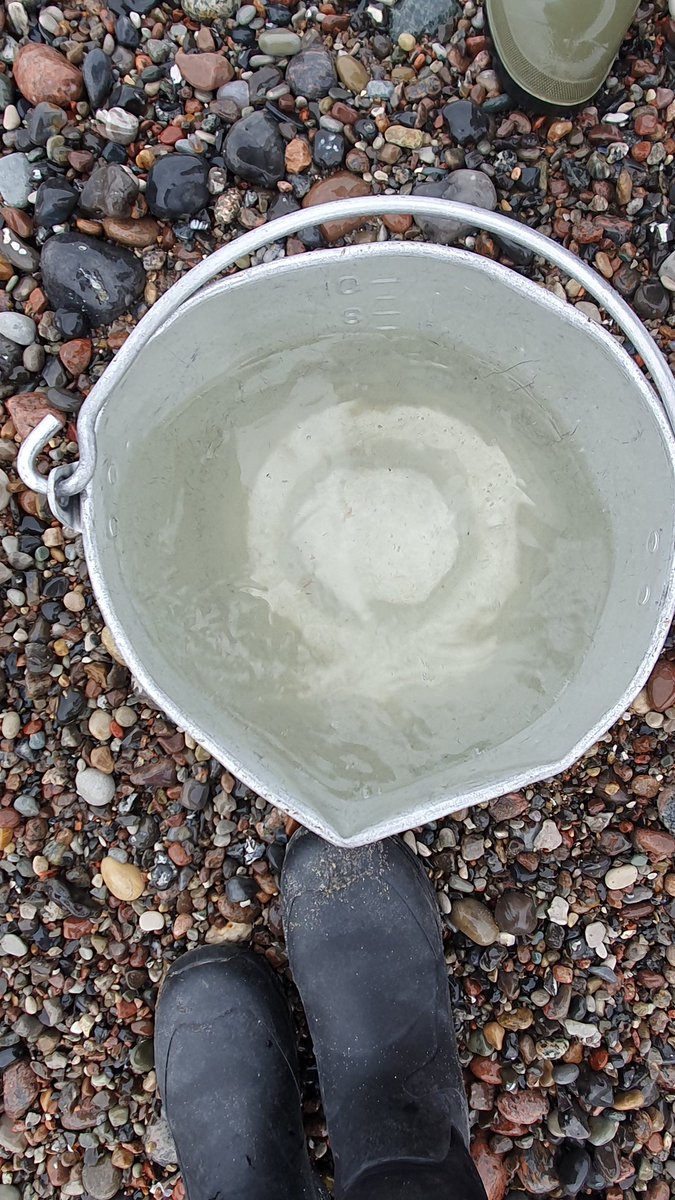 S05M0623 12:07 3,5°C SAL 11,3