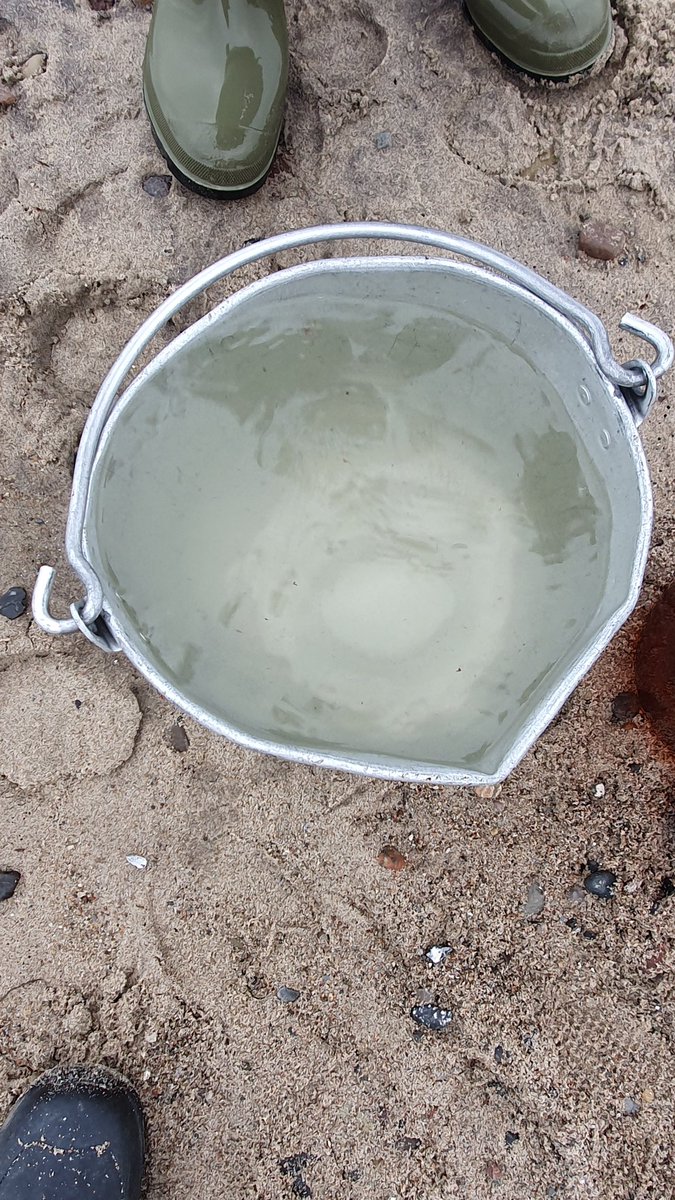 S06M0623 12:25 3,6°C SAL 11,7