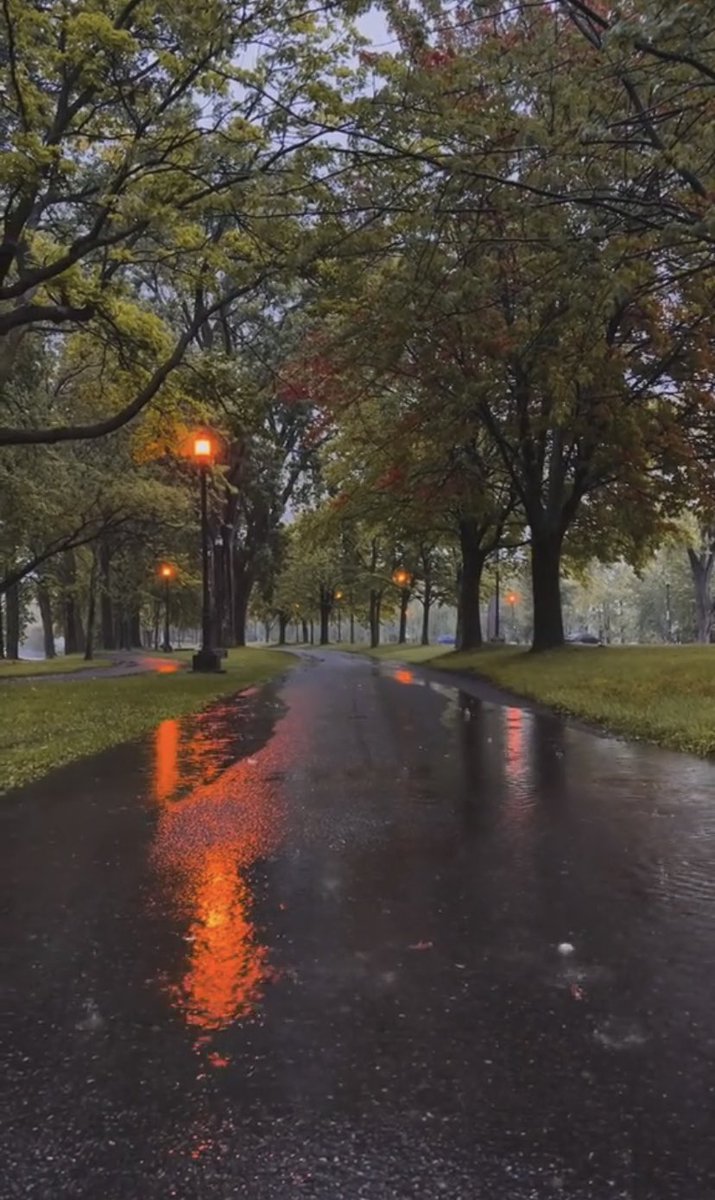 lifePic_'s tweet photo. the sound of the rain https://t.co/KSZ9pJxwah