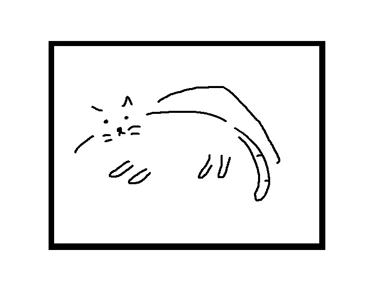 cat in frame_drawingwanderer
#NFT  #NFTartist