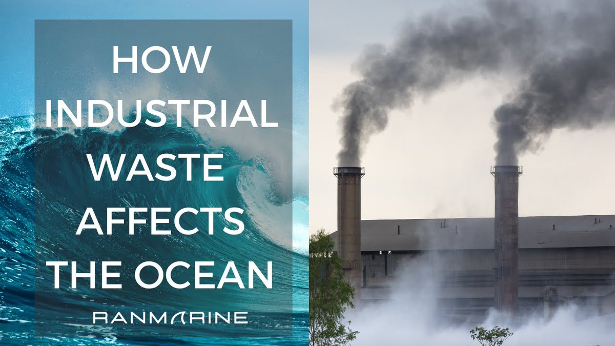 Pollution is a result of a wide range of factors, yet it is a universal problem.

At @RanMarineTech we are working towards combating water pollution in an environmentally responsible way.

buff.ly/3l1qJPT 

#ports #megashark #wasteshark #marinas #greenermarinas #maritime