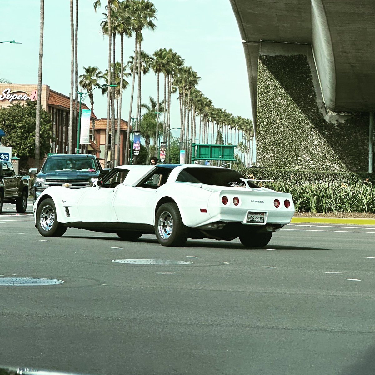 DropClutchG's tweet photo. Corvette limo?! Who’s rocking this??
.
#c7 #c7corvette #c8corvette #chevrolet #chevytrucks #corvette #corvettec6 #corvettec7 #corvettec8 #corvettelifestyle #corvettesofinstagram #gm #gmc #hellcat #hyundai #llumar #nissan #silverado #supercharged #tintedwindows #tintlife #toyota https://t.co/fW7ASYYpQB