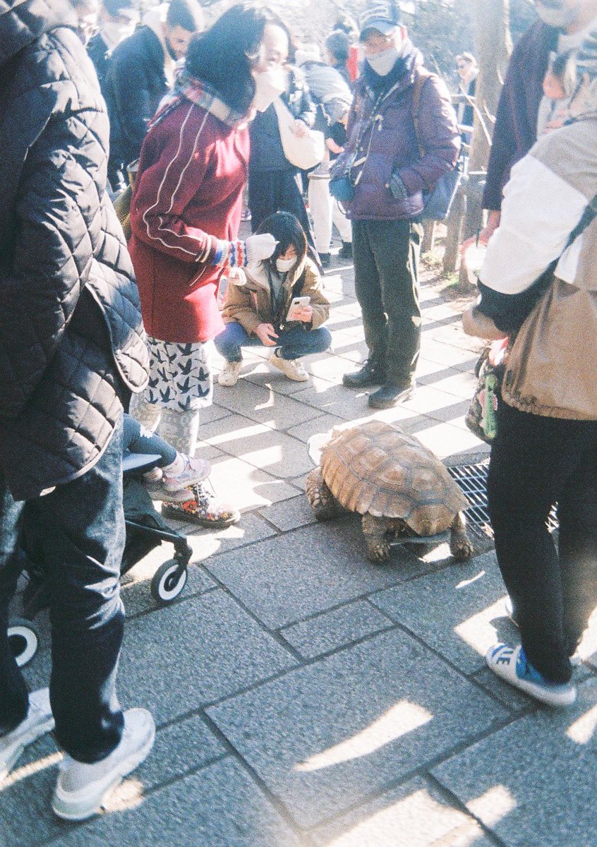 日常は、非日常だ

#film