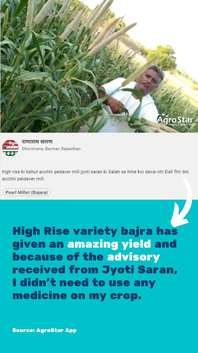 agrostar_in's tweet photo. 🙌 Proud to see the positive impact of #AgroStar on the lives of #milletfarmers of #Rajasthan.

💪 Millets provide numerous benefits such as improved #foodsecurity, #nutrition, &amp; a more #sustainable agriculture system.

@FAO #IYM2023 #InternationalYearOfMillets #MondayMotivation https://t.co/EolHZEdDI5