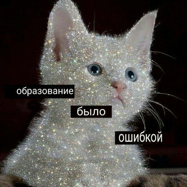 В этом семестре нам поставили предметы, которые проходят на 3-5 курсе. А мы на 1
