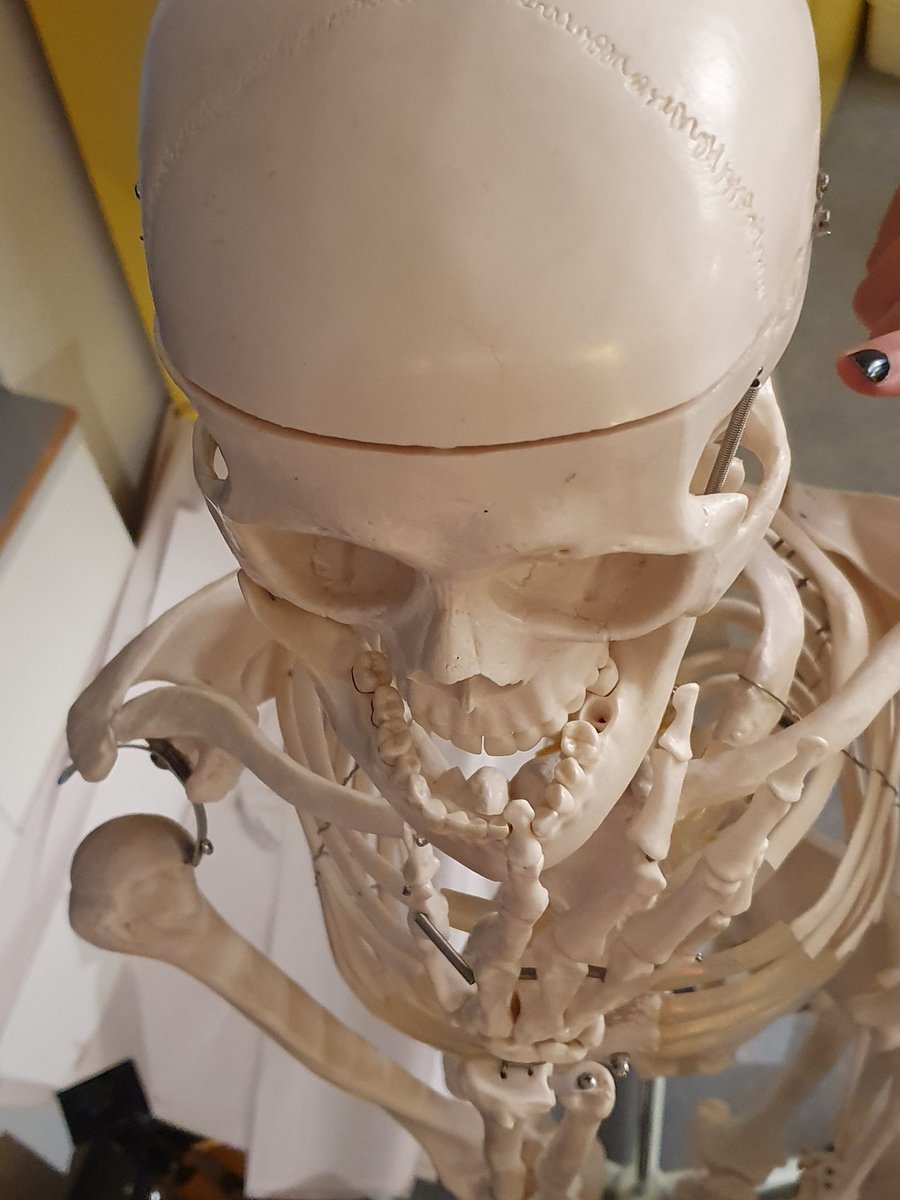 ヘKeengoon tweet media