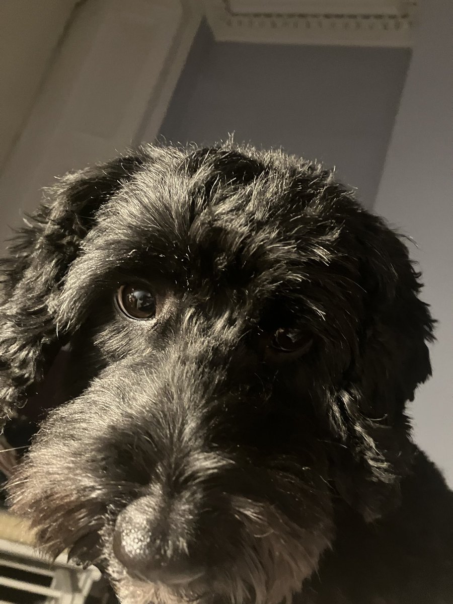 Beth Culshaw tweet media