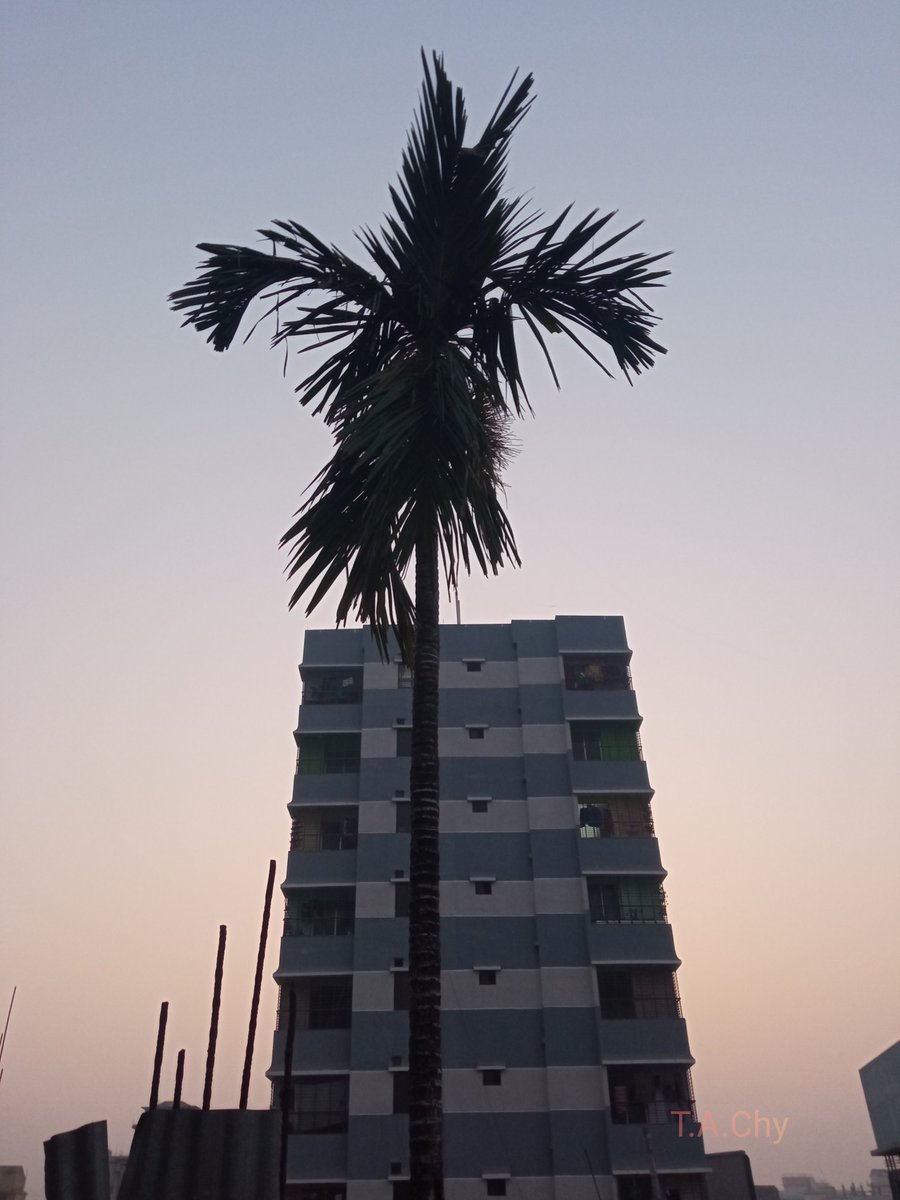 chowdhury_ara's tweet photo. #hellowmonday
#picoftheday
#MondayMorning 
#6_15_pm 
#sunrise 
#pc_me📱 https://t.co/f1u6c7oqq8
