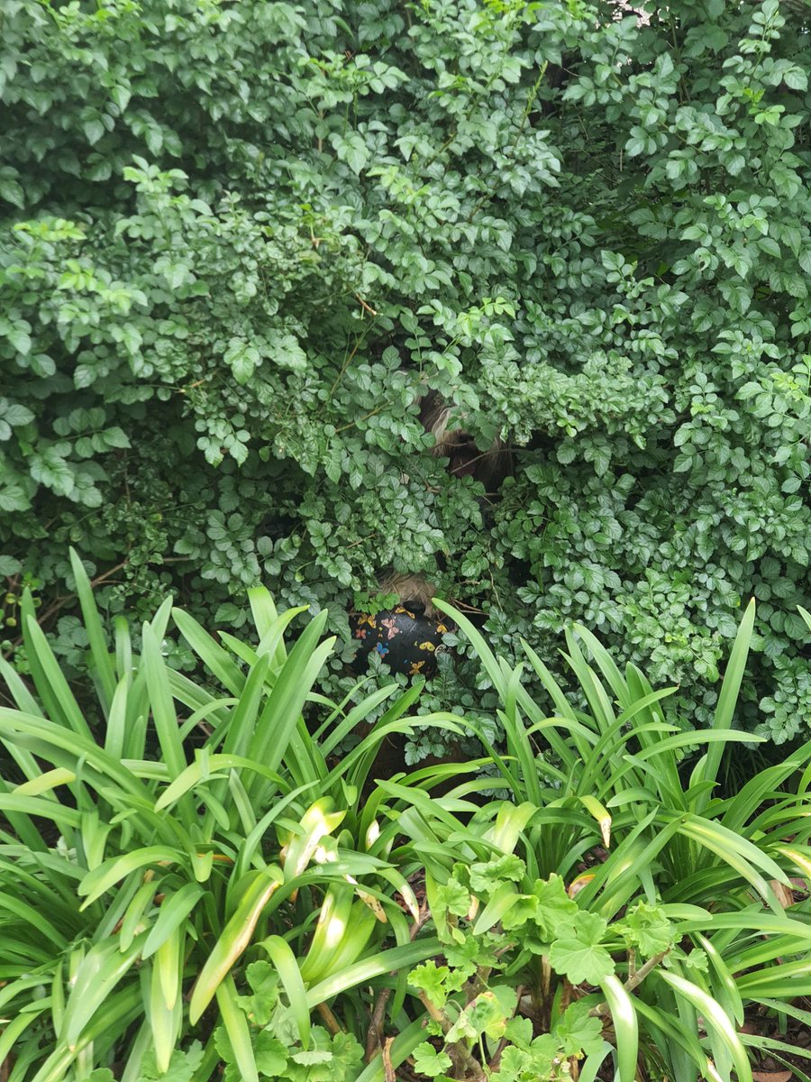 IrminZ's tweet photo. Spot the beardies https://t.co/STDd63d0o0