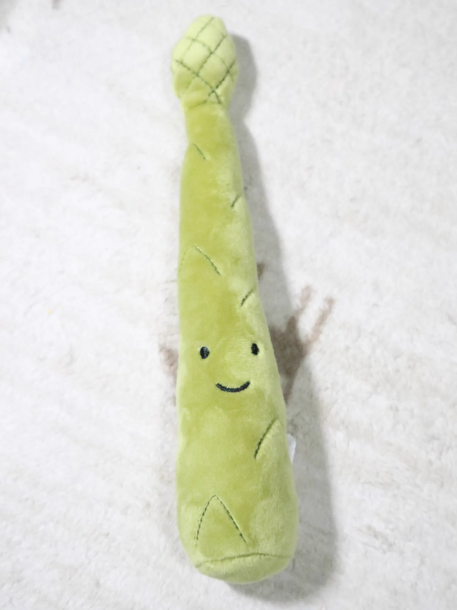 こ...これはアスパラさんのきょうだいじゃないか  