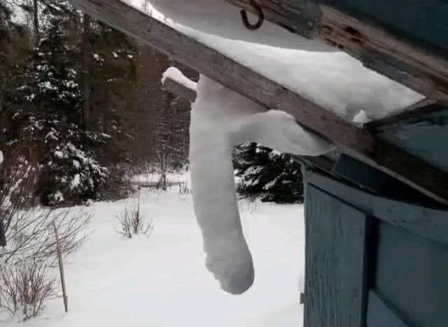 WVfJLo8Pk3fx2hd's tweet image. ………THE AND……