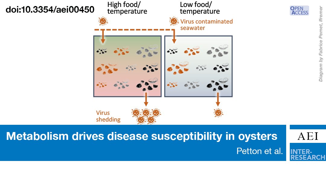 We show that factors forcing host growth promote viral proliferation and epidemic risk in oysters, thus providing perspectives for disease management based on manipulation of host metabolism. bit.ly/aei_15_19
@fpernet