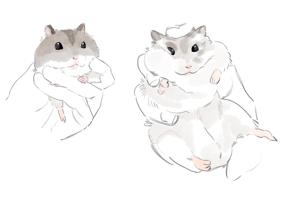 아무말없이 동물 그리는 계정🐹 (@haaammm201) on Twitter photo 