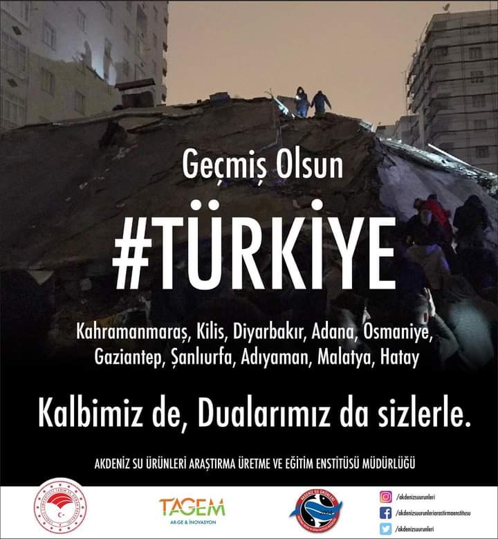 Akdeniz Su Ürünleri (@aksamsuurunleri) on Twitter photo 