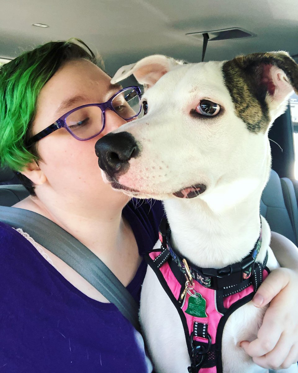 RachelKeeth's tweet photo. The other day was our sweet Agatha's Gotcha Day! She's now 4-years old. It's hard to believe this "little" lap dog came into our lives only to shoot up in size and take over our hearts simultaneously. I decided to paint her as she looked at the time in celebration. https://t.co/dartY3fwpm