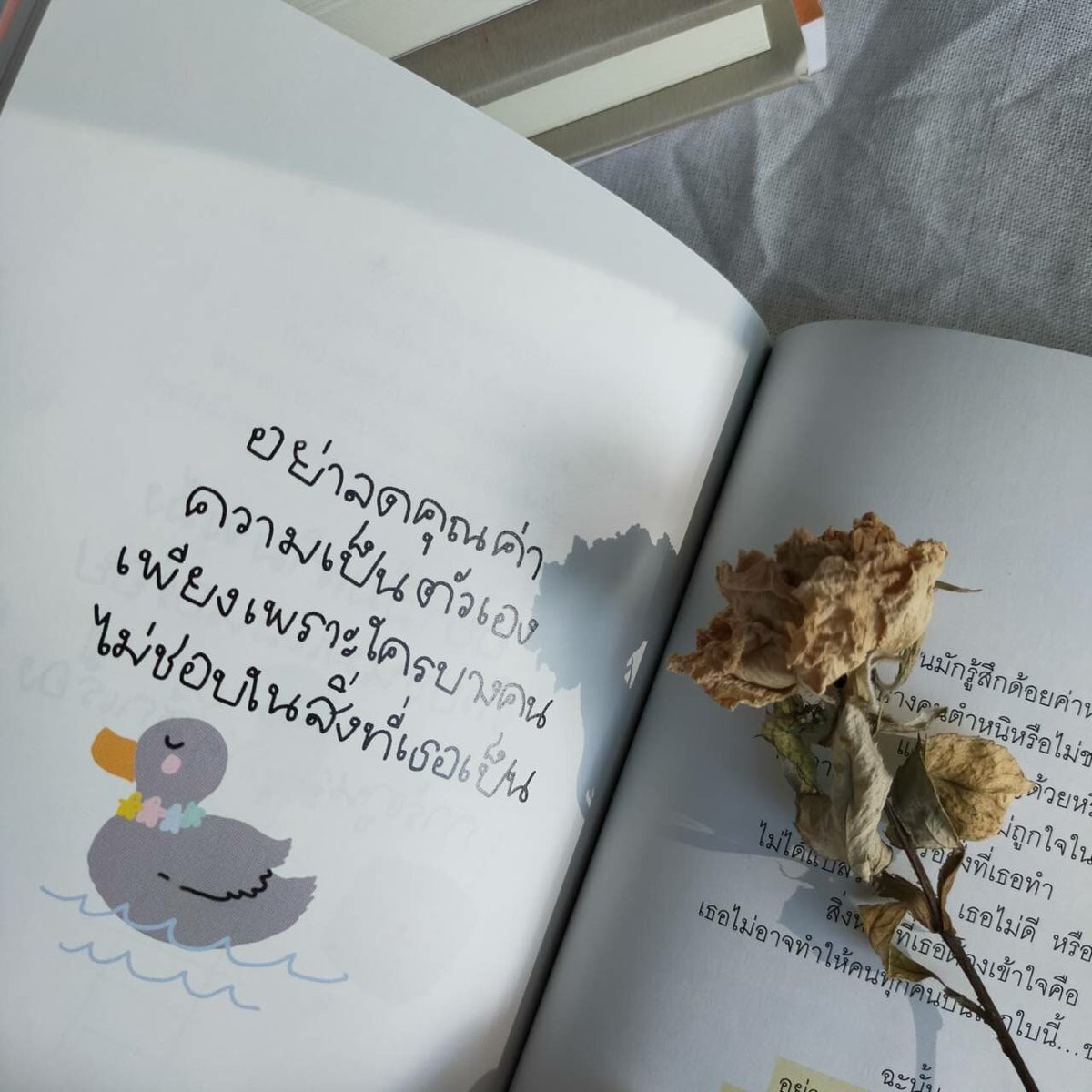 ร้านกลิ่นหนังสือ tweet media