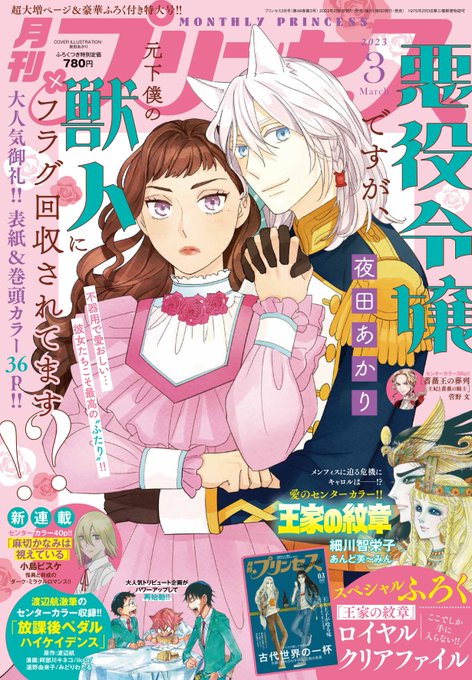 【告知】月刊プリンセス3月号発売中です。
『Reスケバン刑事』14話掲載させてもらってます。
3の蛇編最終です。
来月の連載は新章開始前にお休みをいただいてますが、3月16日には単行本4巻が発売予定です。
よろしくお願いします。 