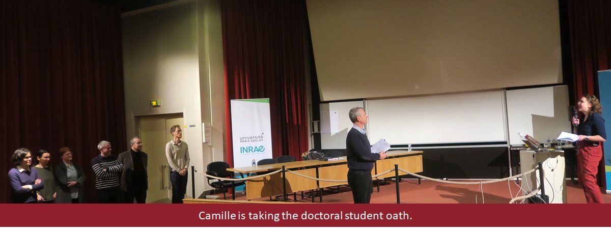 IJPB (@ijpb_fr) on Twitter photo <a href="/ijpb_fr/">IJPB</a> A warm welcome to Dr. Camille Salaün in the #PhD family. Brilliant defense in front of JD Faure, J Buitink, V Vernoud, J Boudet, B Landrein, <a href="/ThomasWidiez/">Widiez Thomas 🌽</a> and B Dubreucq, her supervisor.
SEEDEV team: bit.ly/3rlXeZN
@DocSchoolPLant <a href="/UnivParisSaclay/">Université Paris-Saclay</a> <a href="/INRAE_IDF/">INRAE Île-de-France</a> <a href="/ijpb_fr/">IJPB</a> A warm welcome to Dr. Camille Salaün in the #PhD family. Brilliant defense in front of JD Faure, J Buitink, V Vernoud, J Boudet, B Landrein, <a href="/ThomasWidiez/">Widiez Thomas 🌽</a> and B Dubreucq, her supervisor.
SEEDEV team: bit.ly/3rlXeZN
@DocSchoolPLant <a href="/UnivParisSaclay/">Université Paris-Saclay</a> <a href="/INRAE_IDF/">INRAE Île-de-France</a>
