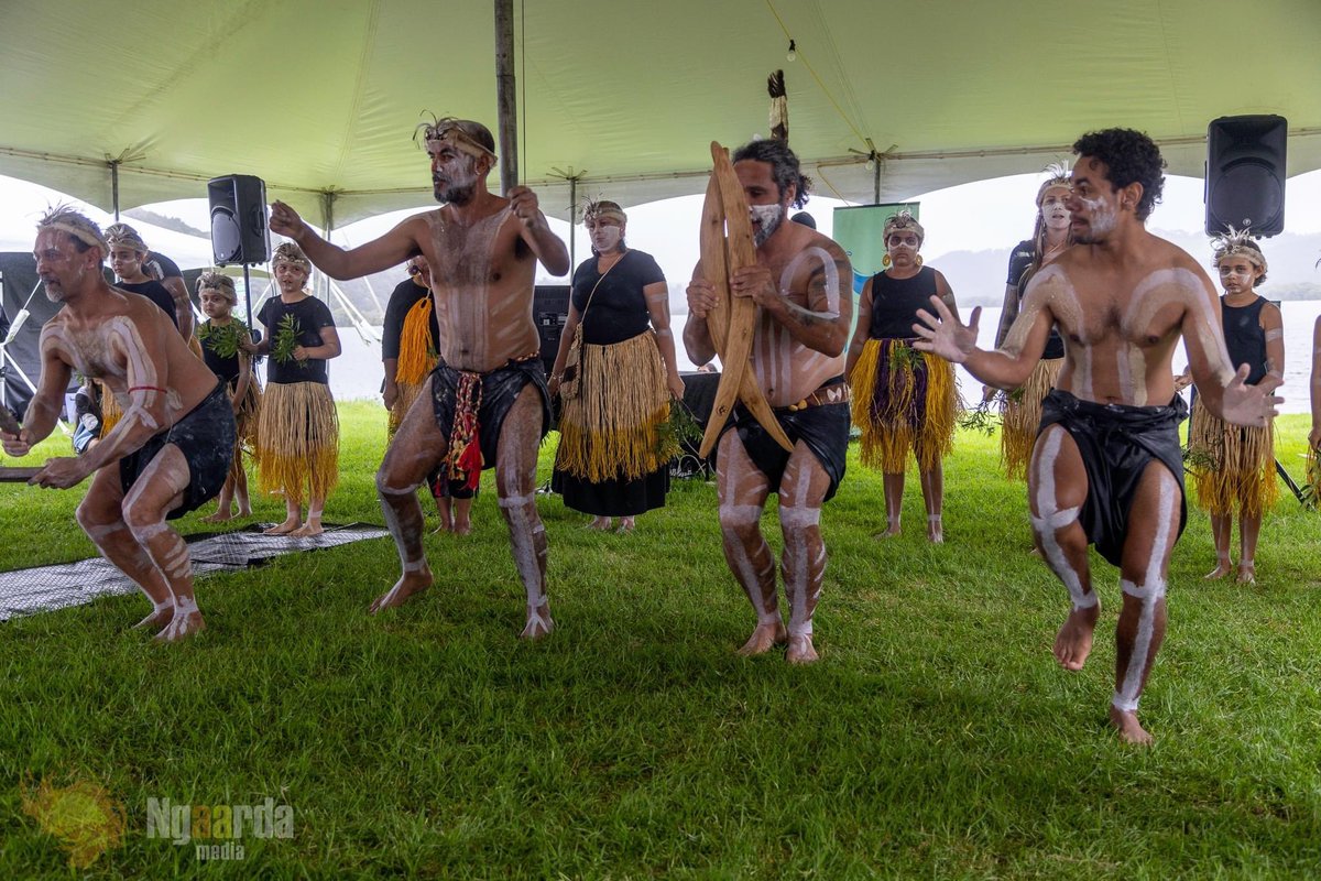 Ngaarda Media tweet media