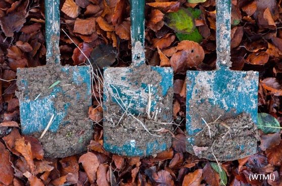 DevonLNP's tweet photo. Devon County Council are looking for volunteers to plant native trees under The Woodland Trust‘s #EmergencyTreeFund with ParkLife SW. The planting schemes aim to increase biodiversity and replace trees lost through ash dieback.
For more info https://t.co/tLkFowTqsR
@DevonCC https://t.co/8UWFfMrLAQ