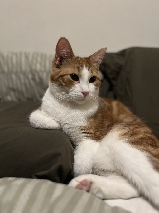 One of the 1st things I said to my bf is that I&rsquo;m just not ready to feel so sad for an indefinite amount<a href="/tag/mvsales"class="tags"><span>#mvsales</span></a>