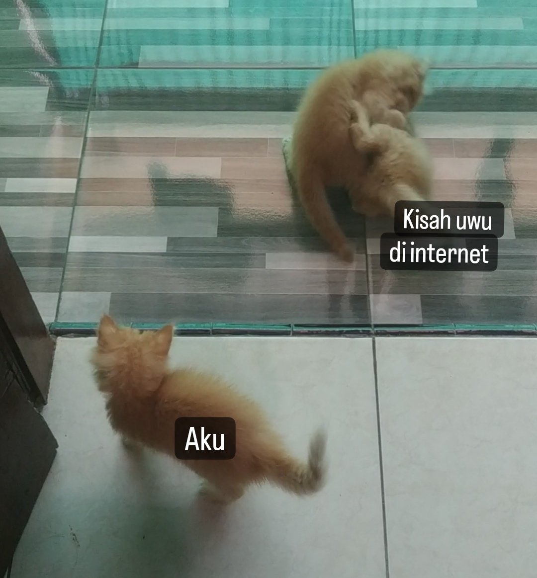 kochengfs's tweet photo. 🐈‍⬛ 🙂🙂🙂 https://t.co/2aDzkmc9kM