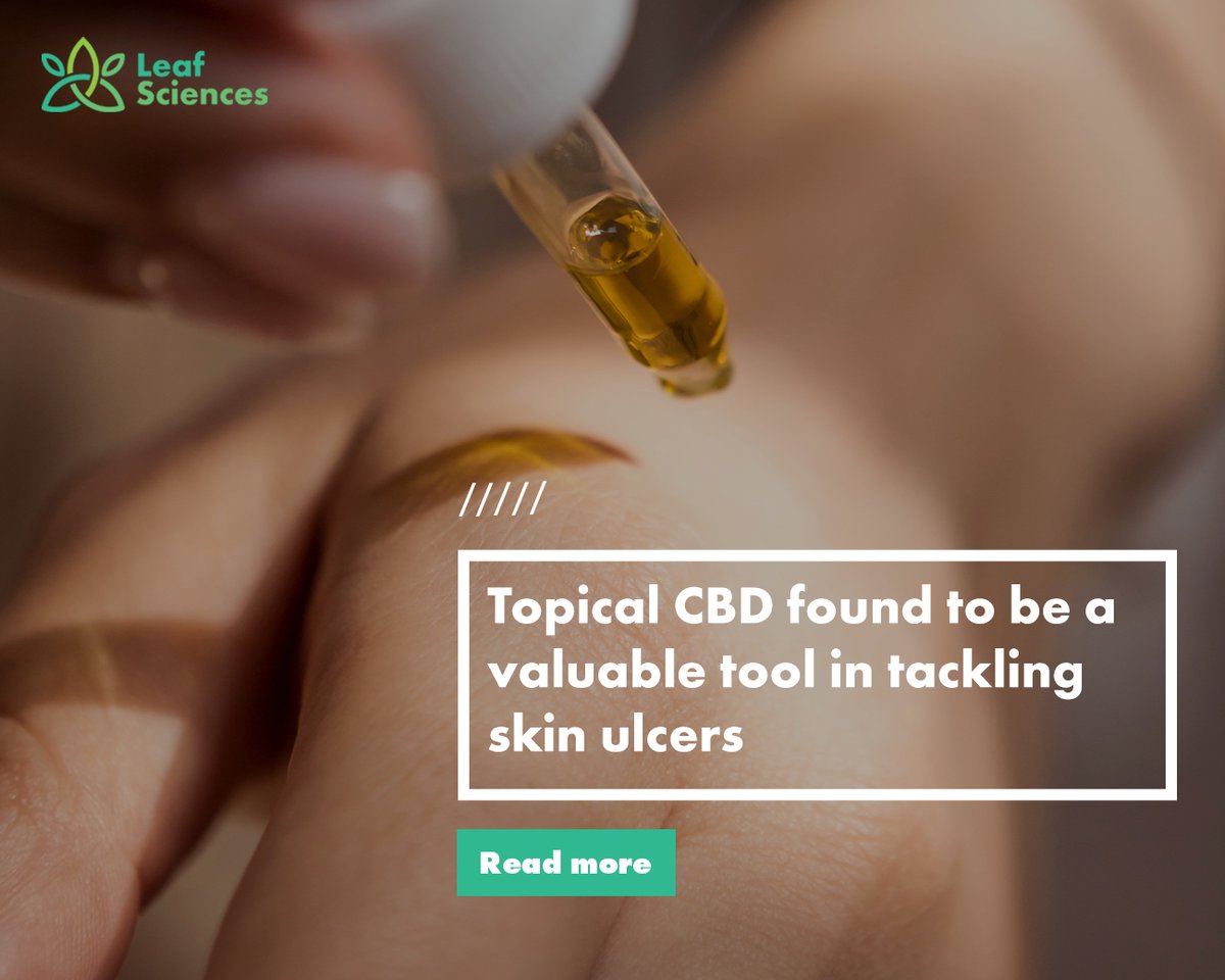 Results from a recent study indicate that topical #CBD has the potential to be a valuable tool in tackling skin ulcers.

Learn more about it in the article from <a href="/teamleafie/">leafie</a>: ow.ly/srsX50MFvkU

#cannabis #hemp