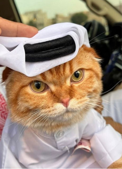 catecoin's tweet photo. Habibi, Welcome to Dubai..
Sheikh Cate on a trip to Dubai
Meet me at the Burj Khalifa!

Hopefully, we'll retain that green candlestick #Catearmy.
Nothing is more beautiful than a green candlestick of @Catecoin and @catpayio 

#web3 #play2earn #crypto https://t.co/O7QTydWfAc