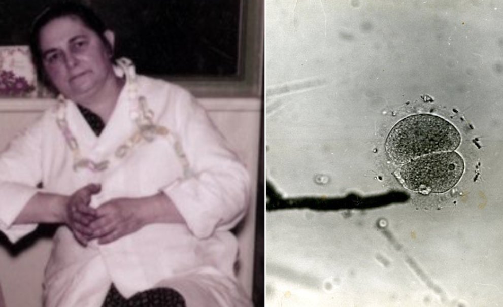 mariobianchi18's tweet photo. Il #6febbraio 1944 il ginecologo #JohnRock con #MiriamMenkin fecondò il primo uovo umano in provetta. Si trattò della fecondazione in vitro di una cellula uovo con uno spermatozoo. Ci sarebbero voluti però altri 34 anni perché nascesse la prima bimba in provetta, Louise Brown. https://t.co/F4jHTP2yjw