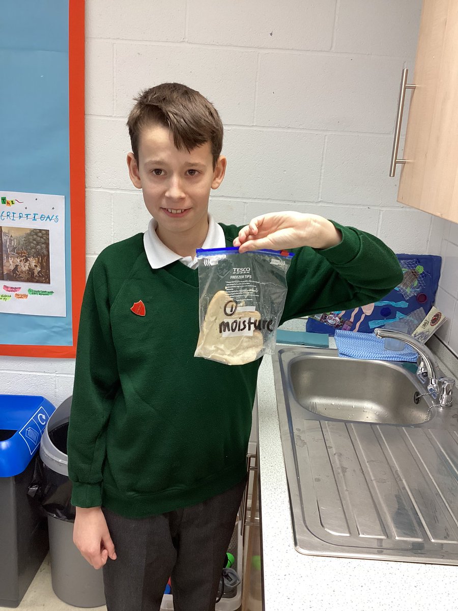 LittleSuttonCoE's tweet photo. Peregrine class had fun playing and learning about ratio during our #powermaths lesson. Today is science Monday, when we finally get to see how our mould has grown on our bread #sciencebug #microorganisms #mouldybread #experiment https://t.co/L2cN8Jd0ei