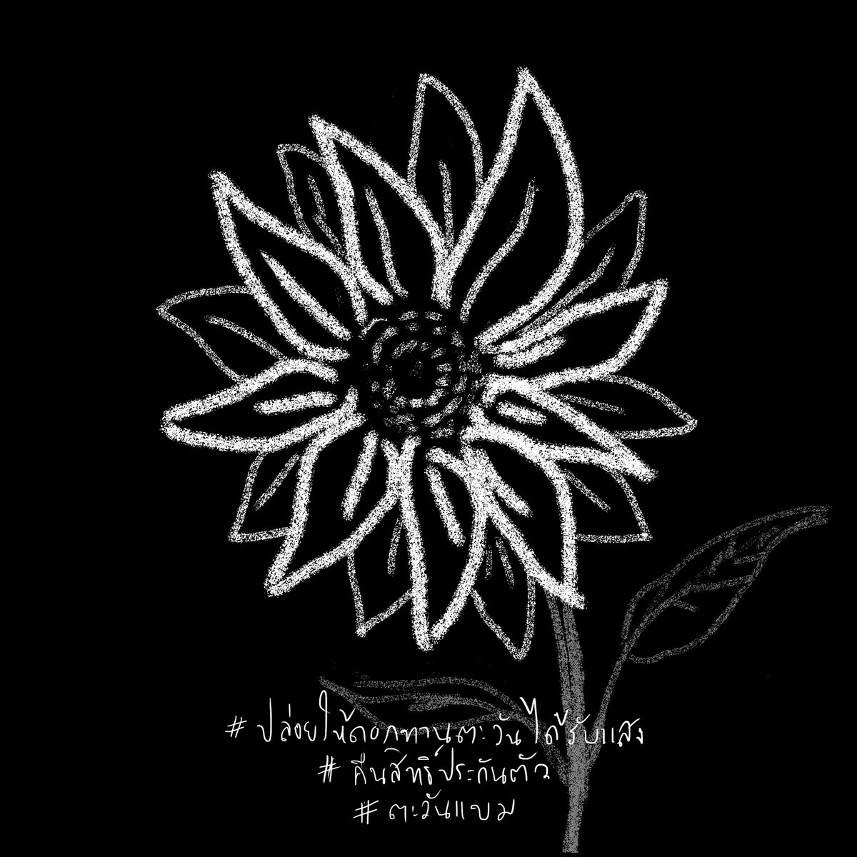 #ปล่อยให้ดอกทานตะวันได้รับแสง
#คืนสิทธิประกันตัว
#ตะวันแบม

วาดด้วยความรู้สึกที่เหมือนเขียนชอล์คบนผนังห้องมืด
ดอกไม้แห่งอนาคตทุกดอกควรเป็นอิสระ ทุกความบิดเบี้ยวของกระบวนการยุติธรรมควรถูกแก้ไข
06.02.2023