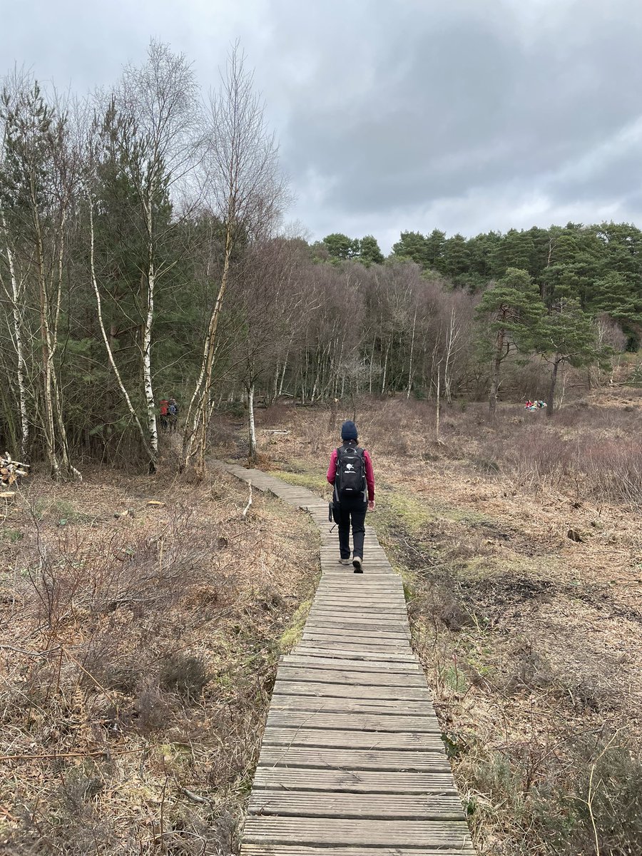 EdelMcGurk's tweet photo. Fantastic to see @TBHPartnership team in action, engaging with people in their treasured #greenspaces, and a new #NNR for me #CastleBottomNNR. Timely also to show @ranil around, talking #winwinwins for #nature, #people and #wellbeing. #GreenInfrastructureFramework https://t.co/r7XlKKnNap