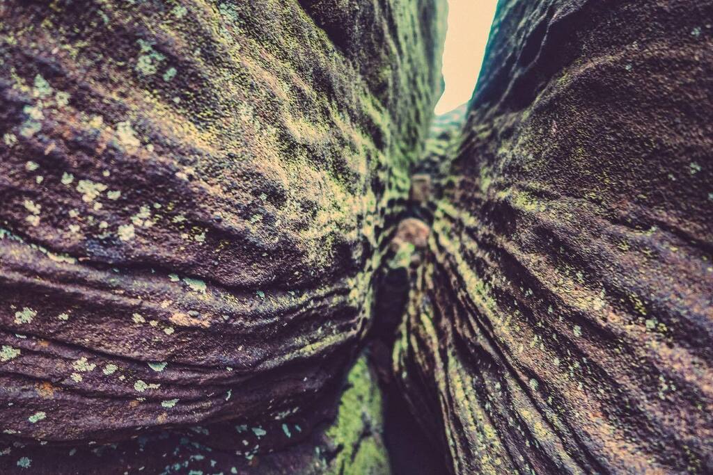 Rock solid 

-
-
-
-
-

#walk #hike #hikemore #neverstopexploring

#roaches #theroaches #roachesend #hencloud #staffordshire #peakdistrict #peakdistrictnationalpark #cliff #climb #rock #geology #texture #rockstone 

#woods #woodland #overgrown #nature #r… instagr.am/p/CoUDFjWNzU9/