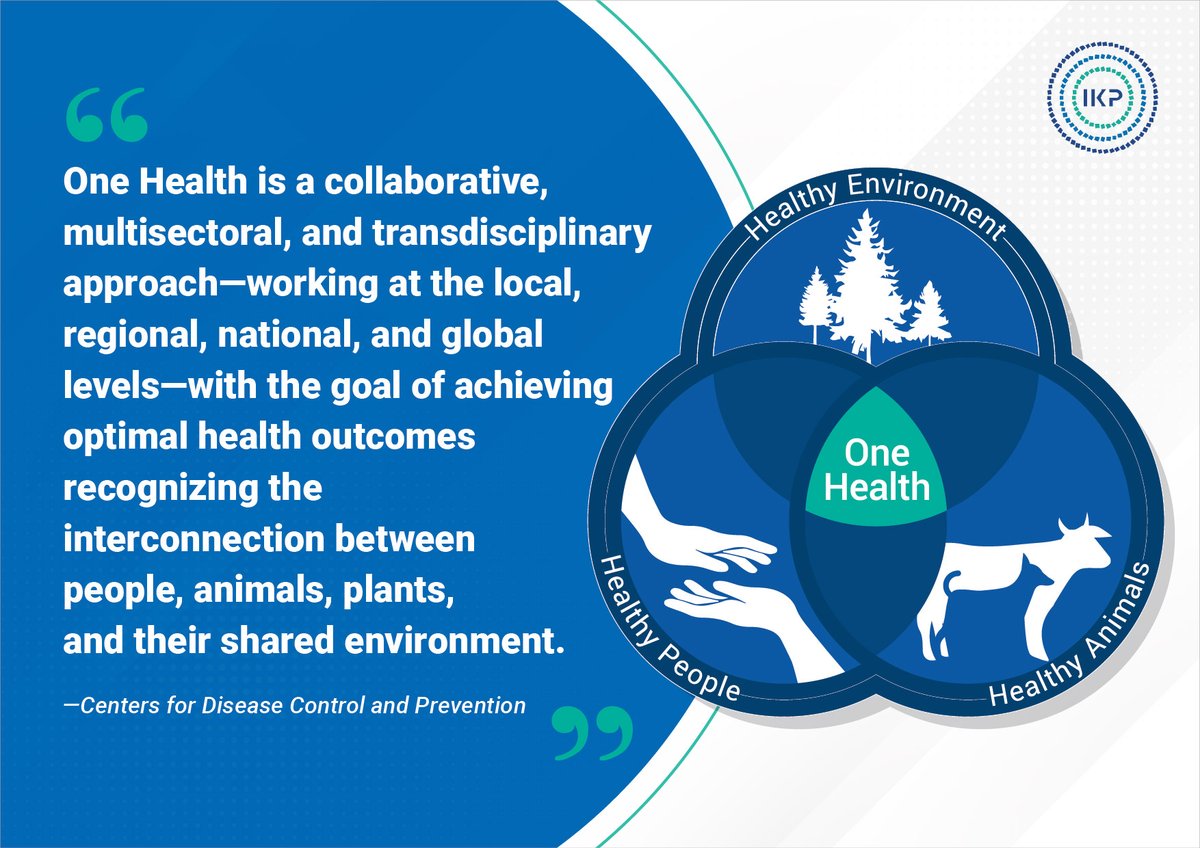 At IKP, we recognise that the only way forward for a sustainable future is by embracing #OneHealth. If you’re innovating to make #agriculture, #animal husbandry, and the #environment healthier, partner with us in creating #OneHealthSolutions.