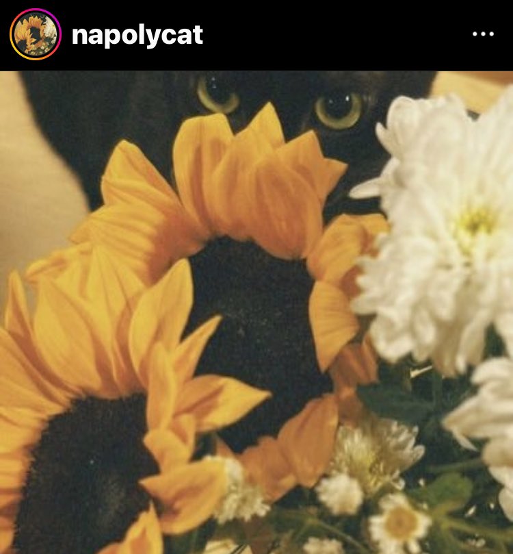 ศิลปินไทยเริ่มลงรูปดอกทานตะวัน🌻 และติดแท็ก #ปล่อยให้ดอกทานตะวันได้รับแสง #คืนสิทธิประกันตัว และ #ตะวันแบม

ฝากสนับสนุนศิลปินที่ไม่เพิกเฉยต่อความอยุติธรรม และออกมาเรียกร้องสิทธิประกันตัวให้เพื่อนในเรือนจำ