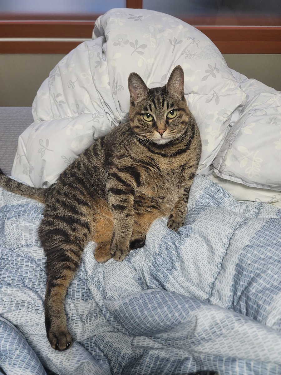 뭔데 ㅋㅋㅋㅋㅋㅋㅋ