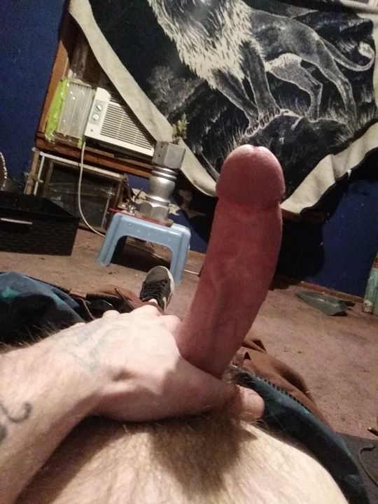 Ghost Of Reason’s pics and videos