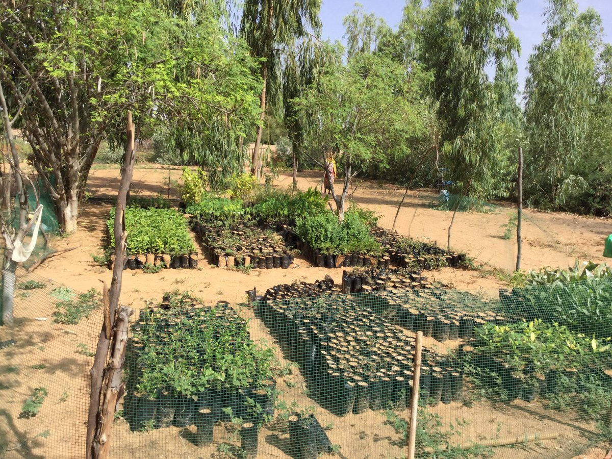 SustainSahel tweet media