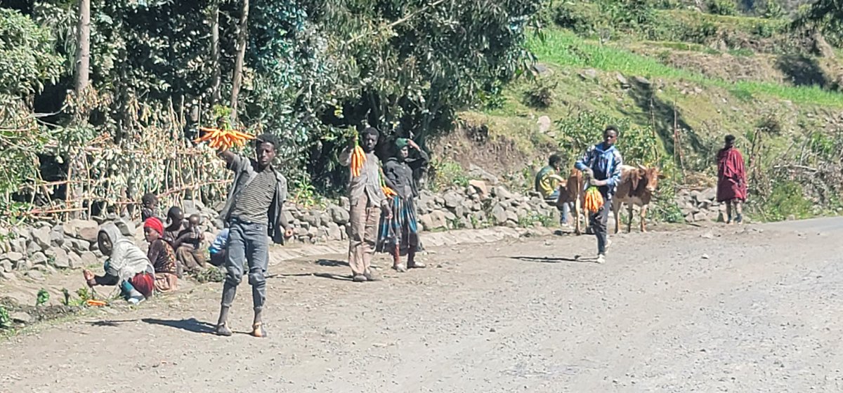 ProfKindeya's tweet photo. 3 yrs since youth in #Tigray didn't go to school due to corrona &amp; the war. We got to act to componsate the painful loss. Support needed. By selling vegetables &amp; other goods, those youth support family livelihood. Pics shot at GiraTserhi (ግራፀርሒ) near KusadGudo (ኽሳድጉዶ) https://t.co/kBXg6w8dYl