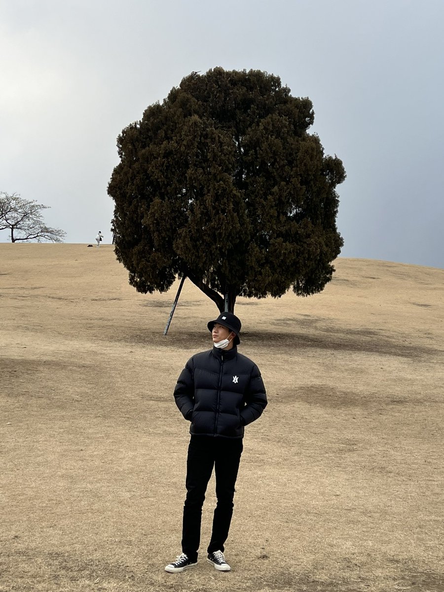 the fridge is standing in front of a tree