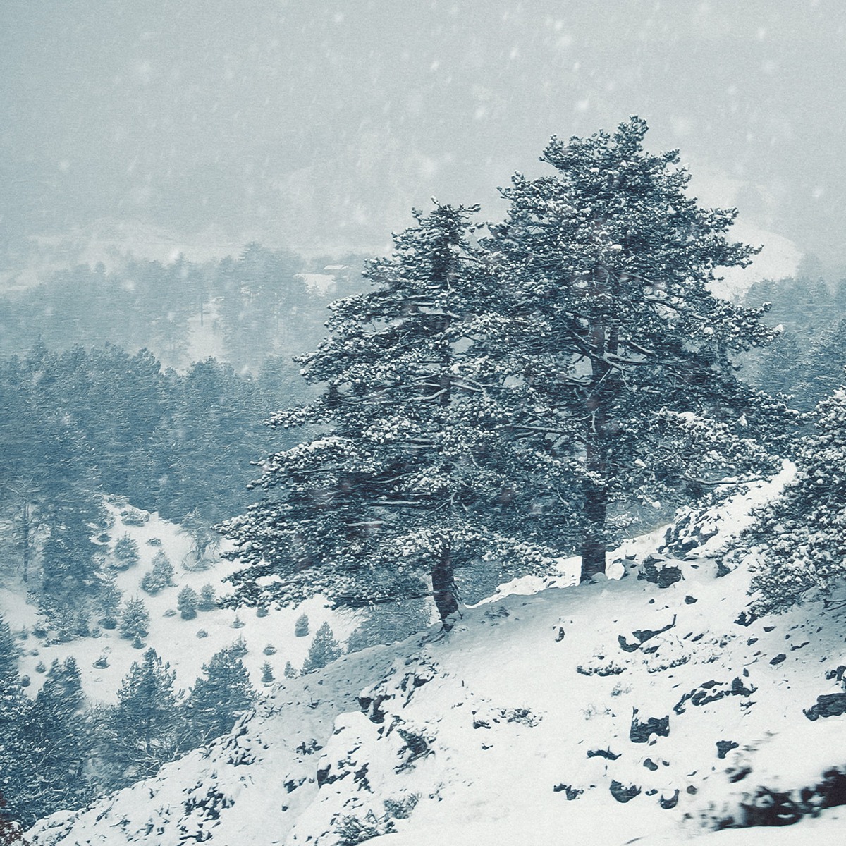 GreekResidency's tweet image. Facing the coldest days of the year, Greece is still wonderful under the sun that warms our bodies and minds!

Contact us and find out everything about permanent residency.
 📞 +30 216 000 6888
📩 info@greekresidency.com

#greekresidency #goldenvisagreece #investinlife  #greece