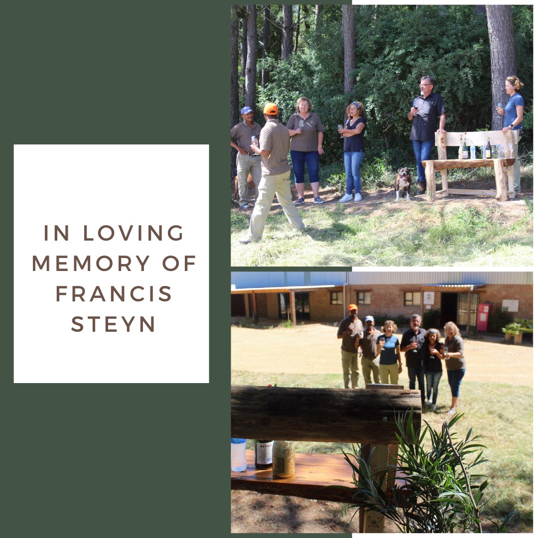 The Grootvadersbosch Conservancy held a memorial service for Francis Steyn, who's sudden death will stay with us forever.  To honor his memory a bench was made so that he may rest in peace, with wine in his hand and a beautiful view of the forest.  

#restinpeace