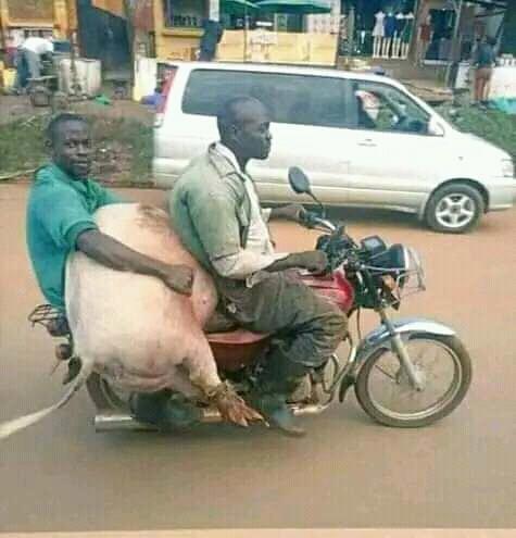 markbege1's tweet photo. Somewhere in Benue State https://t.co/VmQvsWv4n8