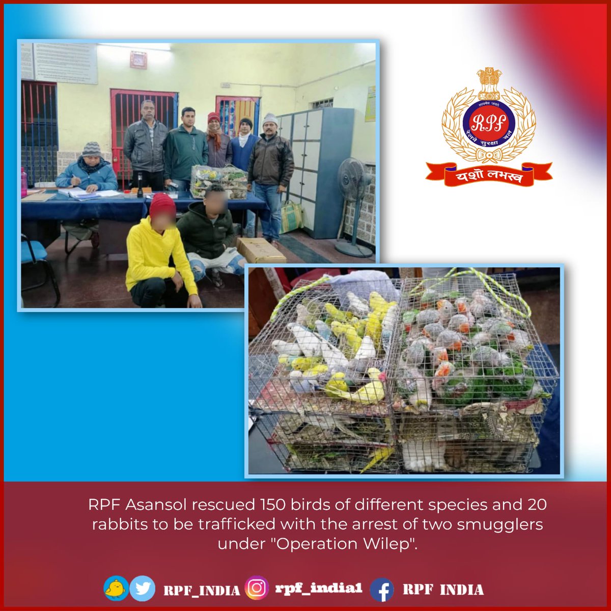 #RPF Asansol ensured the right ones are caged.
#OperationWilep #Wildlifeprotection #StopWildlifeCrime @ErRpf @rpferasn