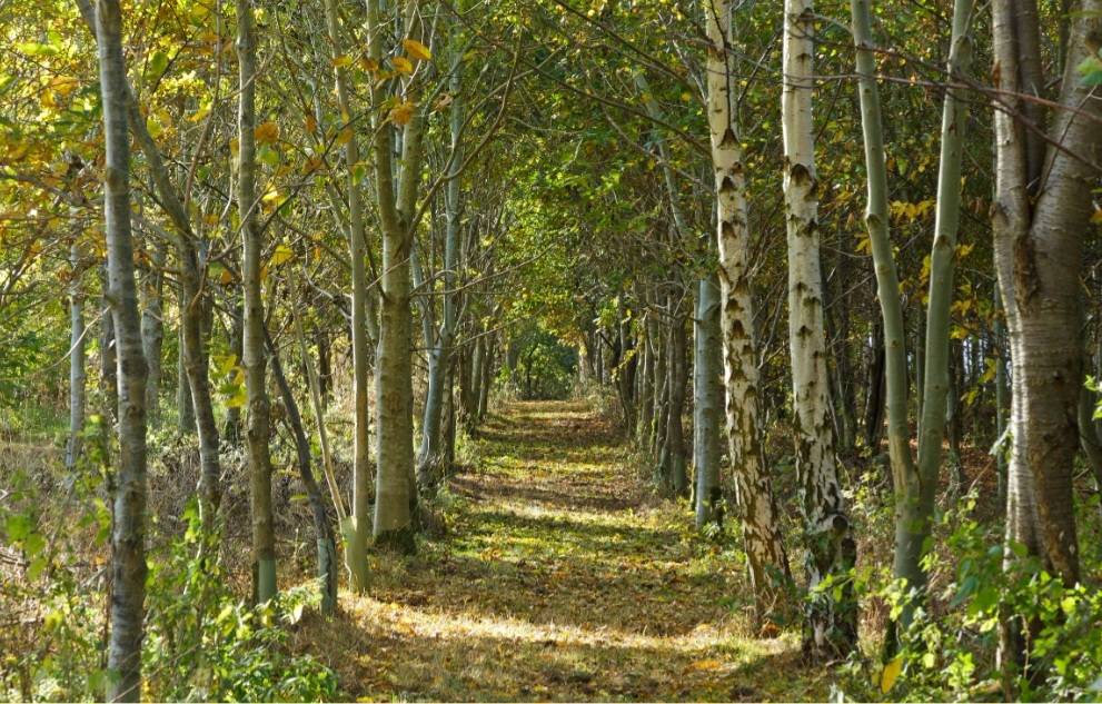 BorrowmyGarden's tweet photo. #NewListingAlert #Essex

A beautiful lake and a tree lined avenue await you at this exceptional #OutsideEvent venue.

Start creating your special event now.

https://t.co/CSCPMIS3EX https://t.co/drMHVBZfJK
