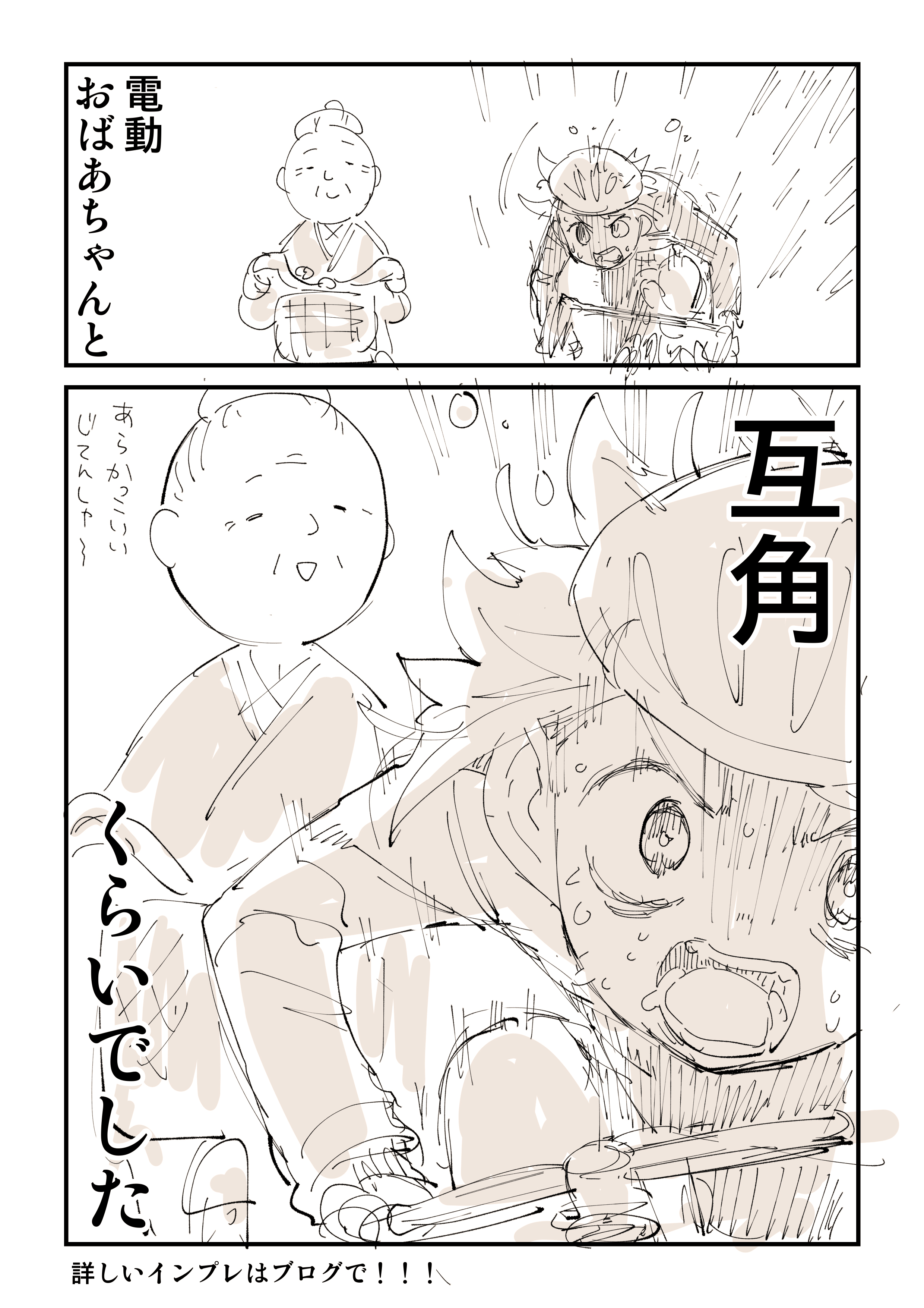 ぬこー様ちゃん@ロードバイク狂 on X: 