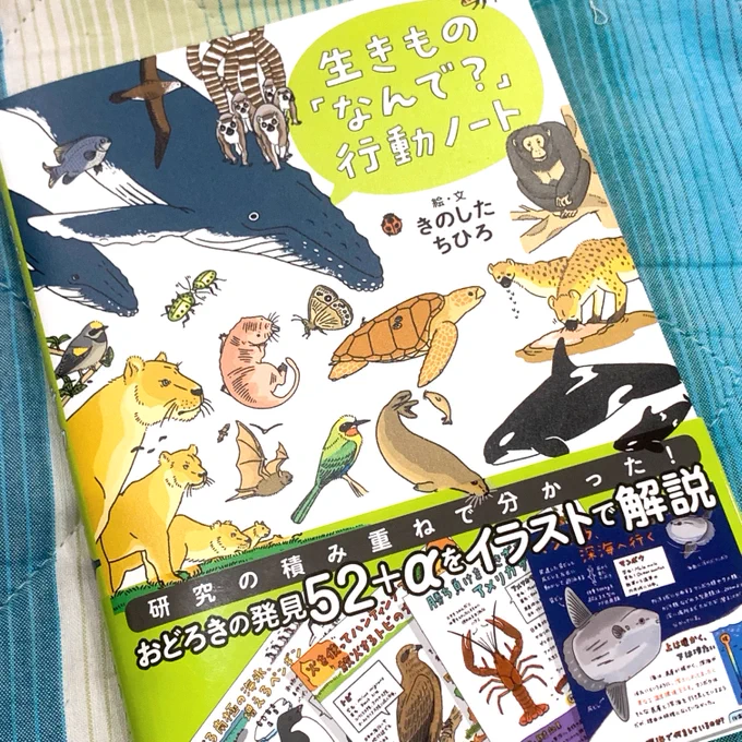 研究者でありイラストレーター きのしたちひろ氏 @chimomonga の本を買いました!「生きもの「なんで?」行動ノート」生き物の特徴捉え方が素晴らしく美しくて絵を眺めてるだけで目が嬉しい+いきもの知欲が満たされてサイコーの一冊✨オススメです https://t.co/8br8oesIpk 
